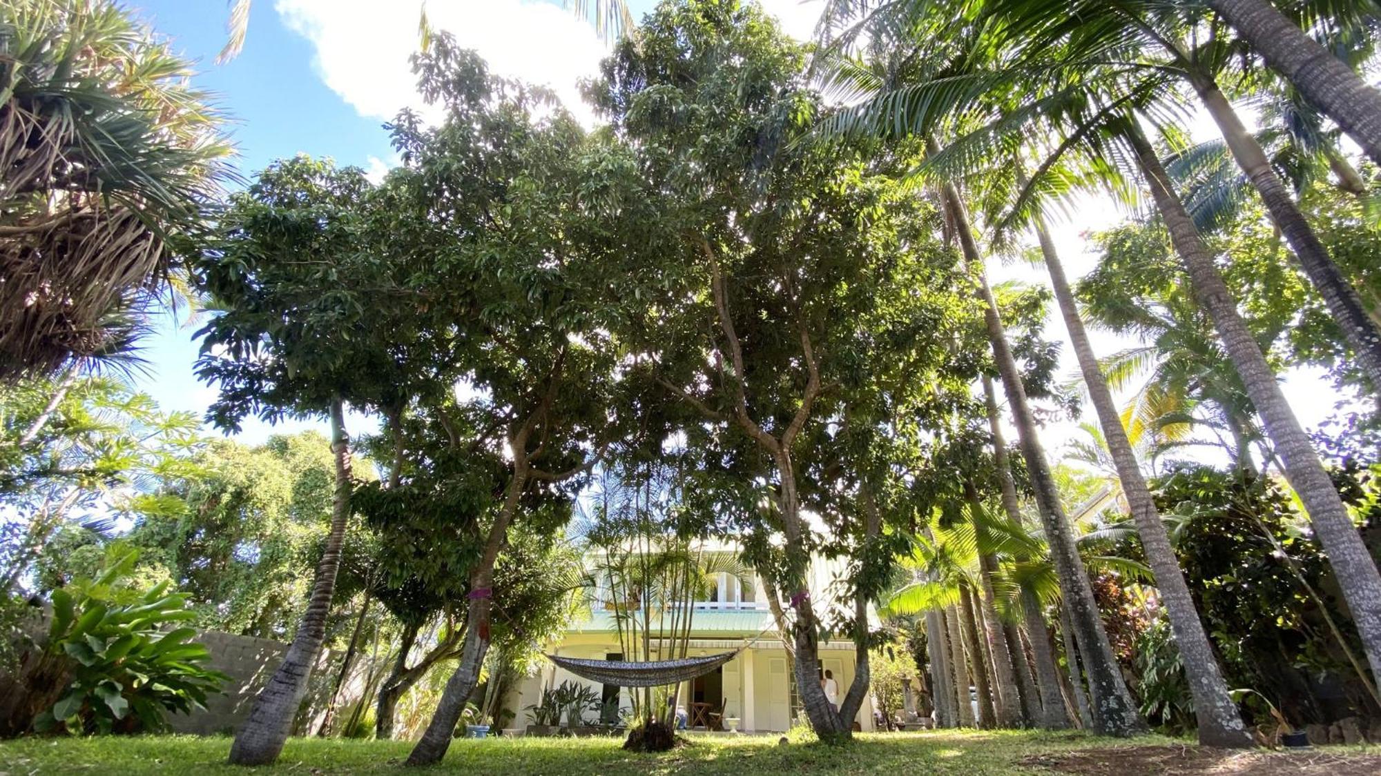 Coliver - Coliving A La Reunion Сен-Пиер Екстериор снимка