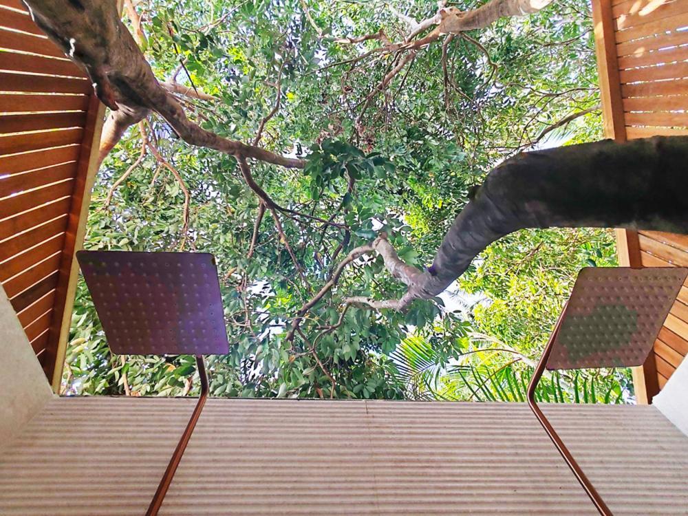 Coliver - Coliving A La Reunion Сен-Пиер Екстериор снимка