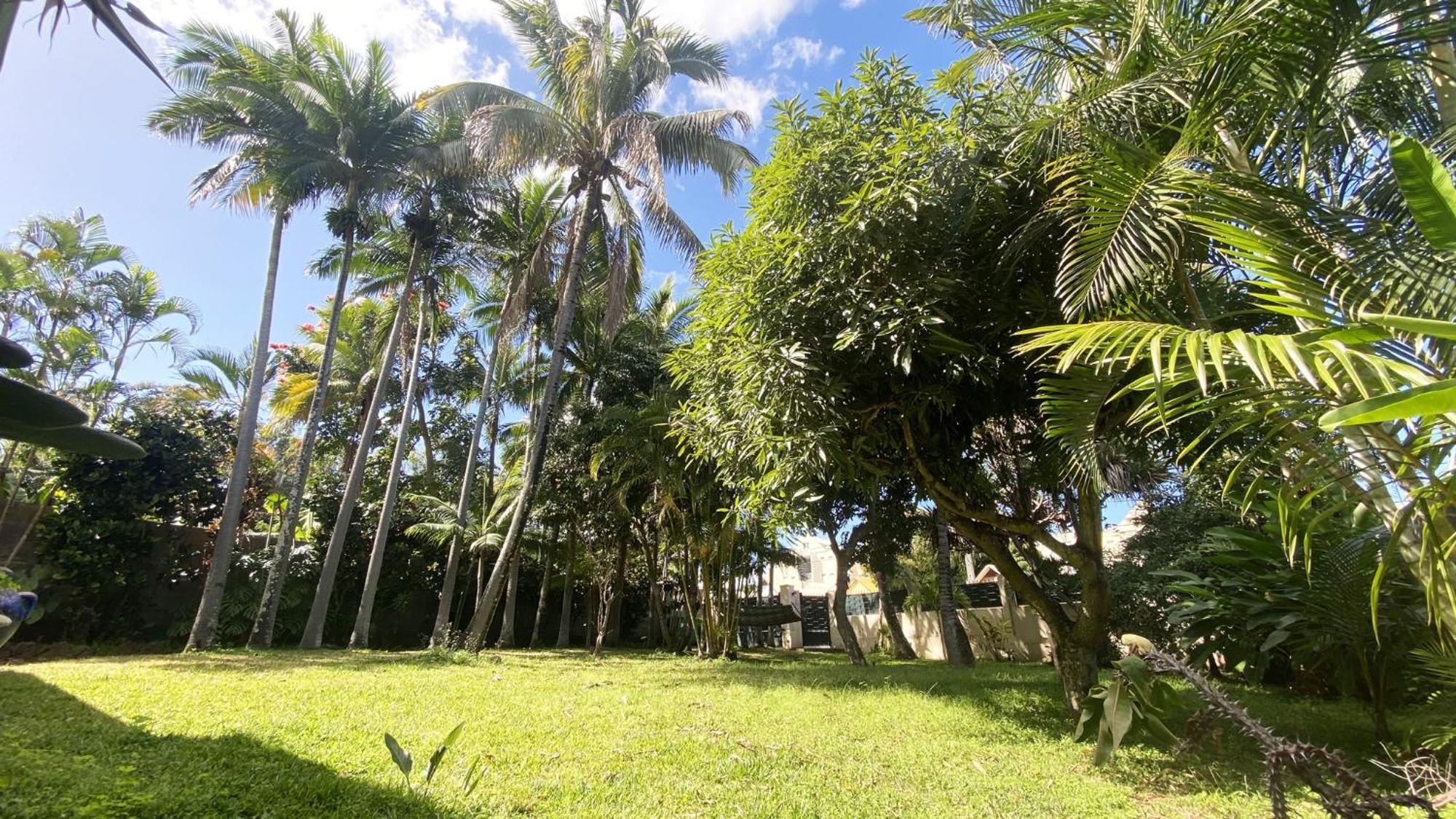 Coliver - Coliving A La Reunion Сен-Пиер Екстериор снимка