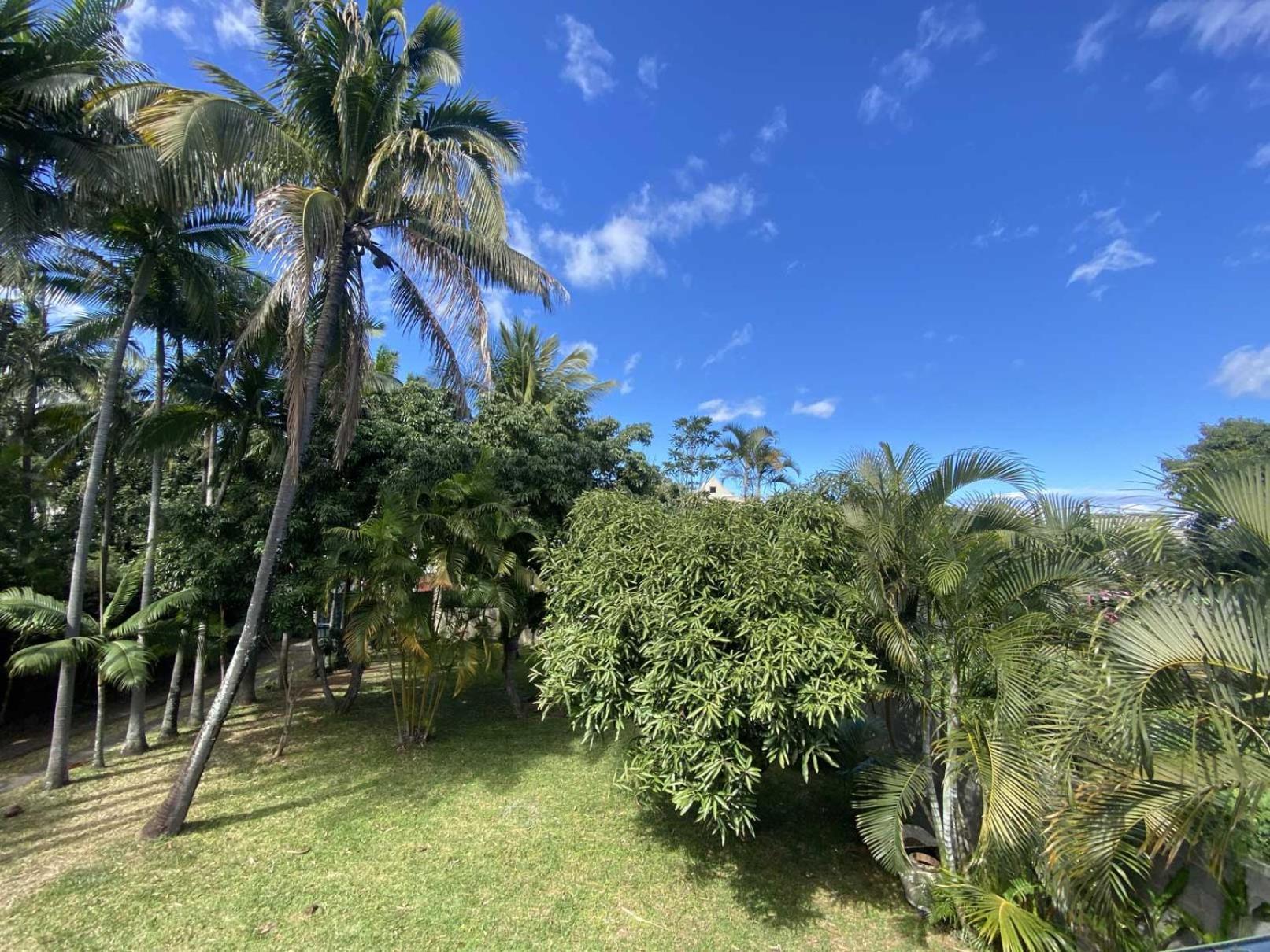 Coliver - Coliving A La Reunion Сен-Пиер Екстериор снимка