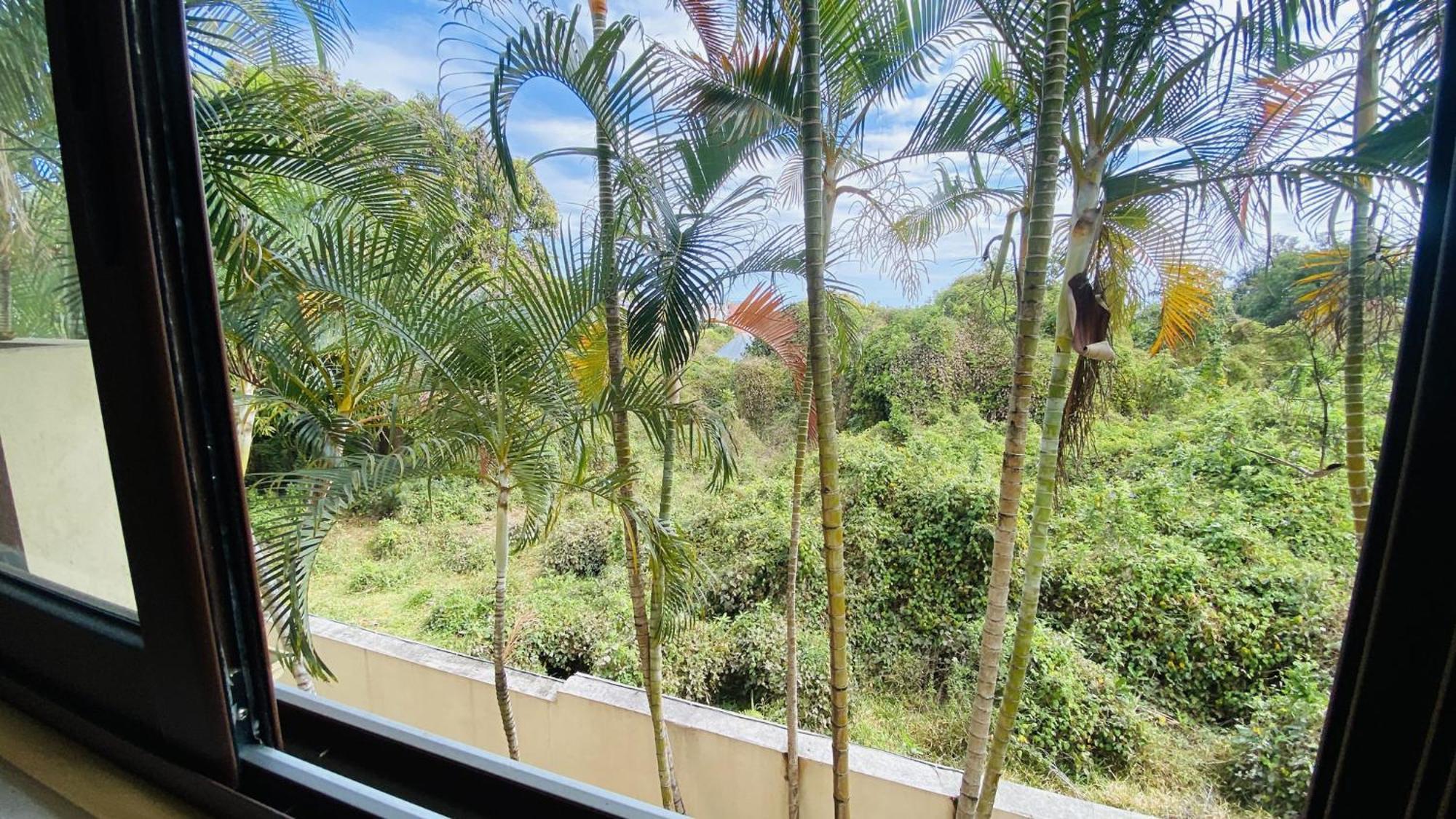Coliver - Coliving A La Reunion Сен-Пиер Екстериор снимка